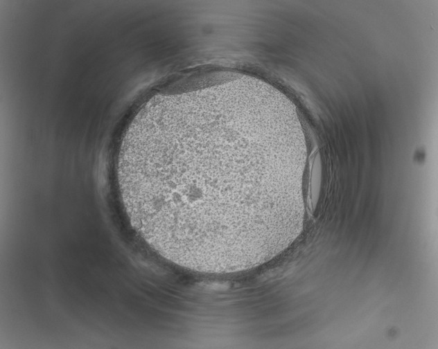 X0000116590687201001211326