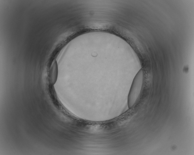 X0000116590688201001211326