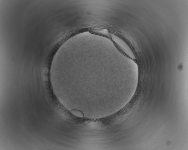 X0000116590689201001211326