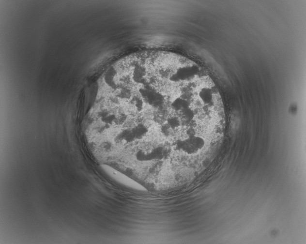 X0000116590691201001211326