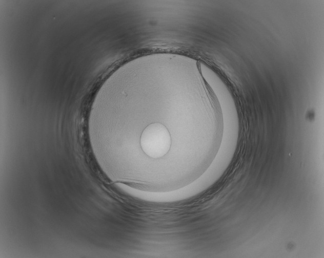 X0000116590692201001211326