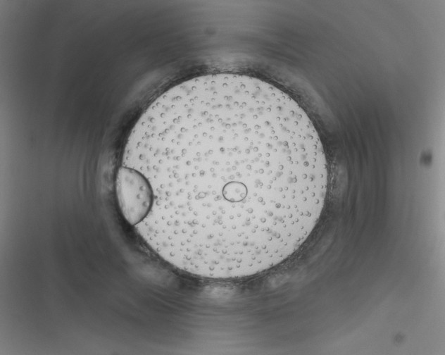 X0000116590694201001211326