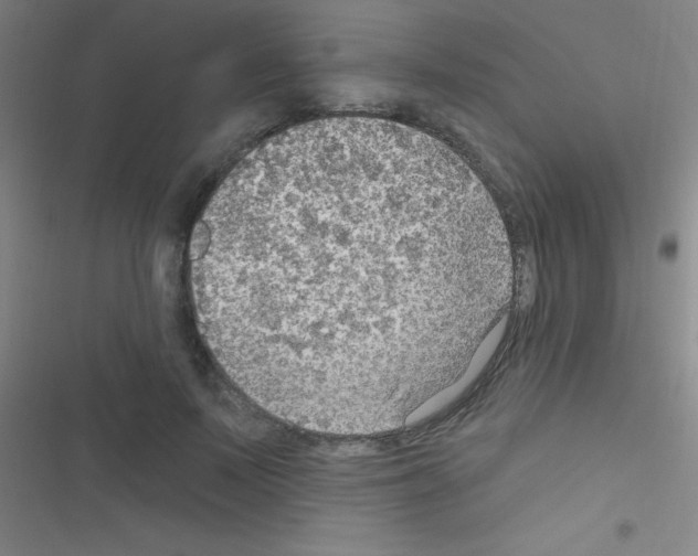 X0000116590695201001211326