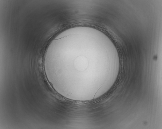 X0000116590696201001211326