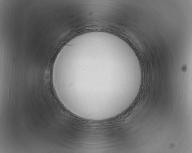 X0000116590697201001211326