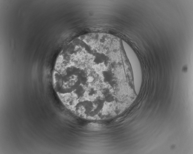 X0000116590699201001211326