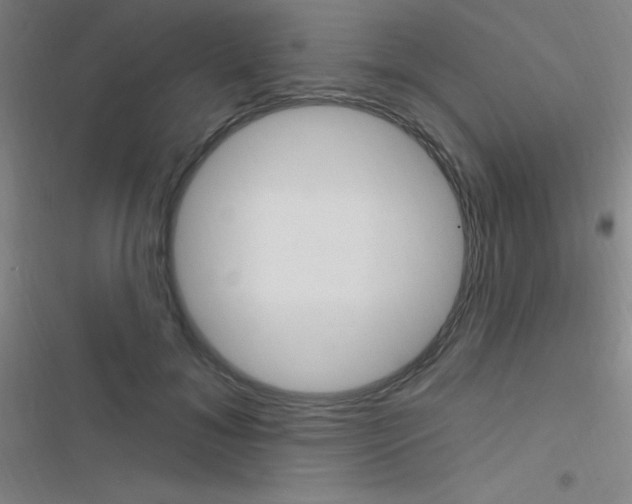 X0000116590700201001211326