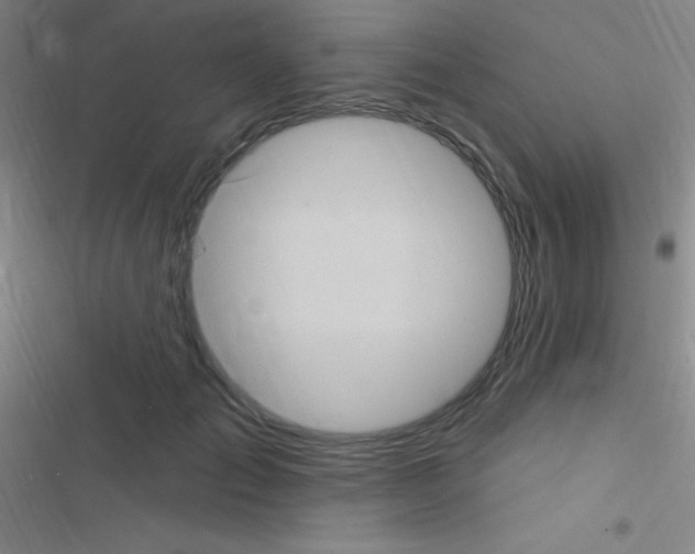 X0000116590701201001211326