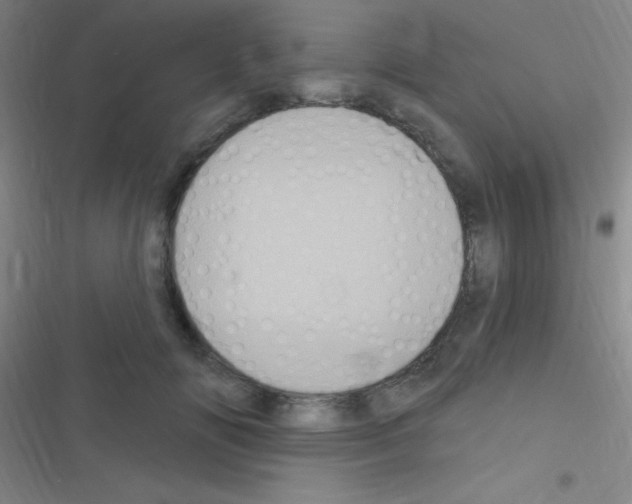 X0000116590702201001211326