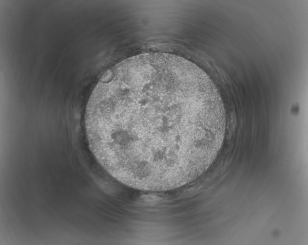 X0000116590703201001211326