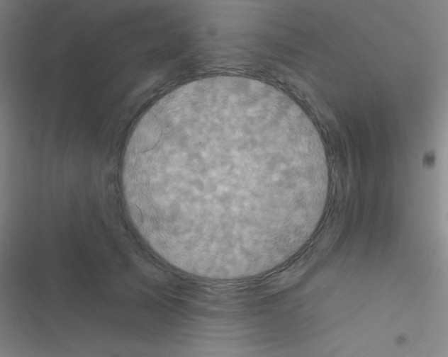 X0000116590705201001211326