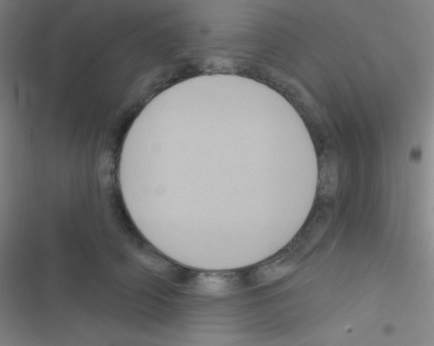 X0000116590706201001211326