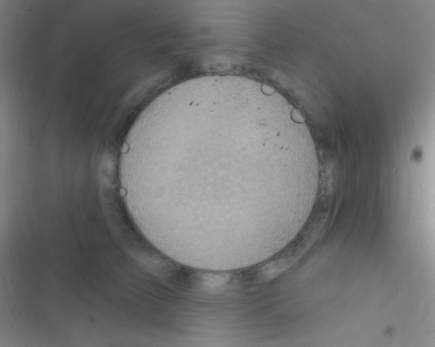 X0000116590709201001211326