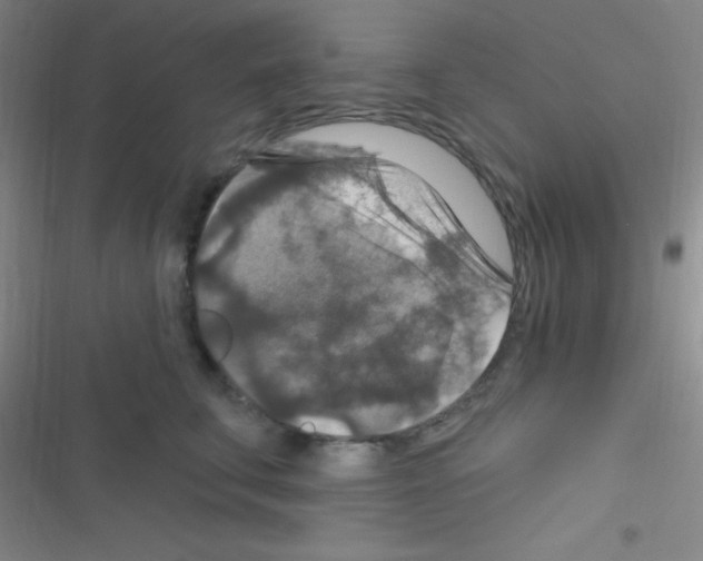 X0000116590711201001211326