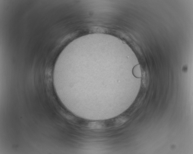 X0000116590714201001211326