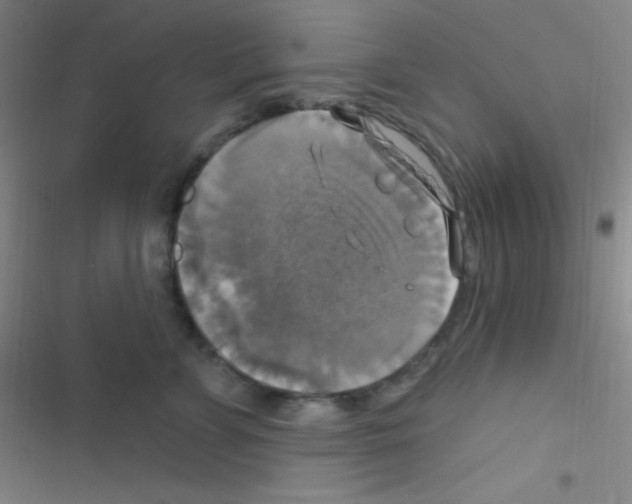 X0000116590715201001211326