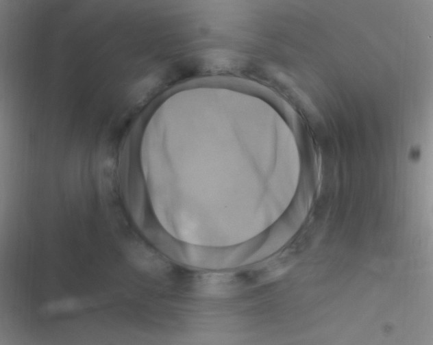 X0000116590716201001211326