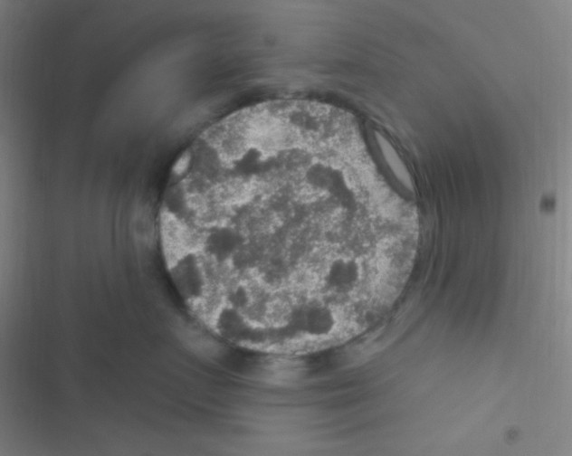 X0000116590719201001211326