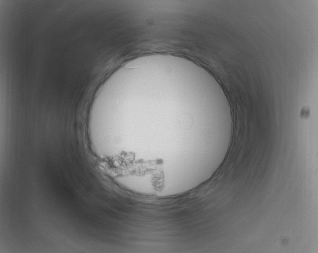 X0000116590720201001211326