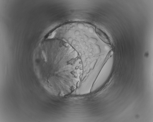 X0000116590721201001211325