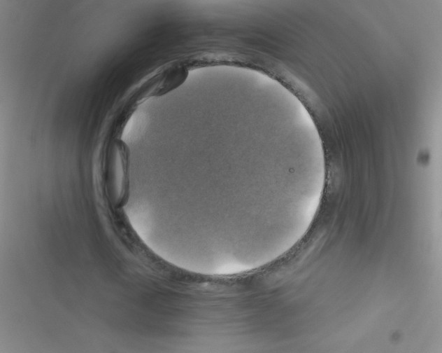 X0000116590722201001211325