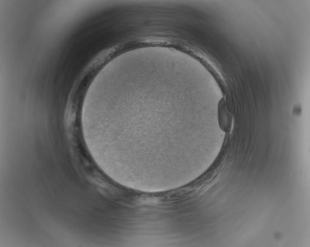 X0000116590723201001211325