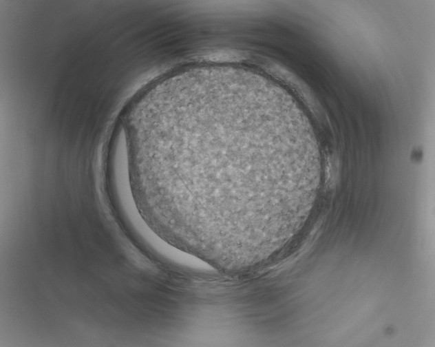 X0000116590725201001211325