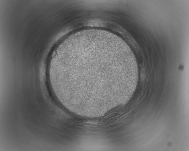 X0000116590727201001211325