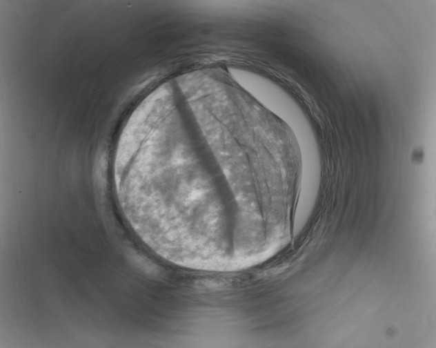 X0000116590729201001211325