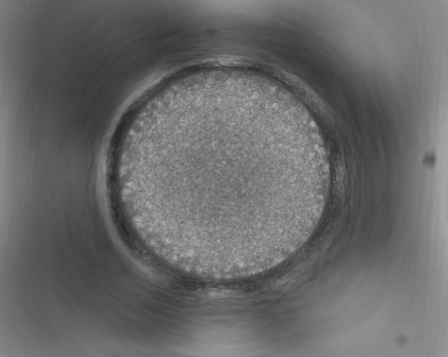 X0000116590730201001211325