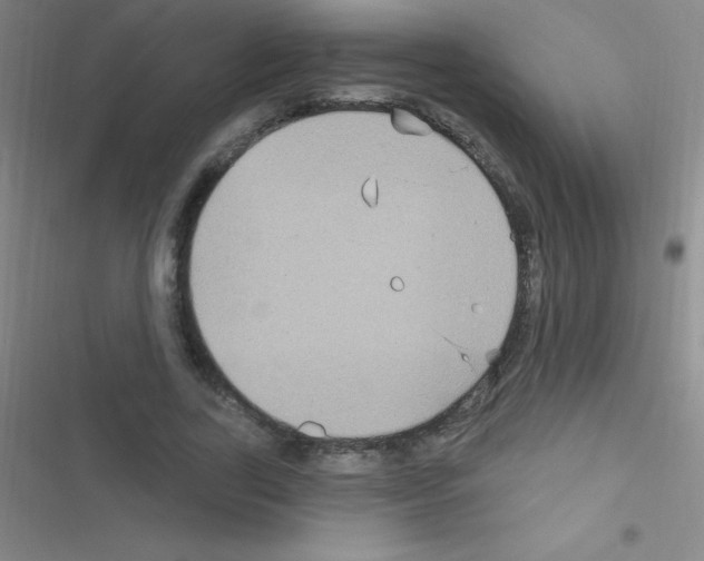 X0000116590731201001211325