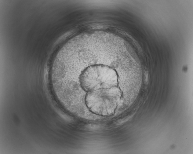 X0000116590733201001211325