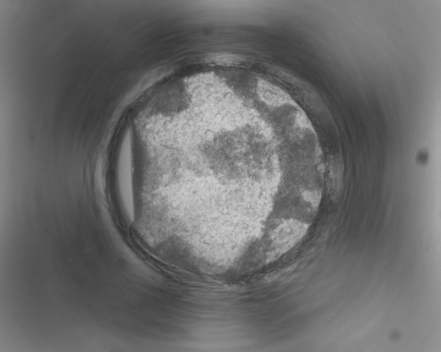 X0000116590734201001211325