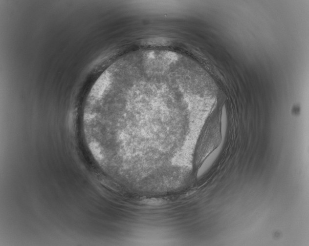 X0000116590735201001211325