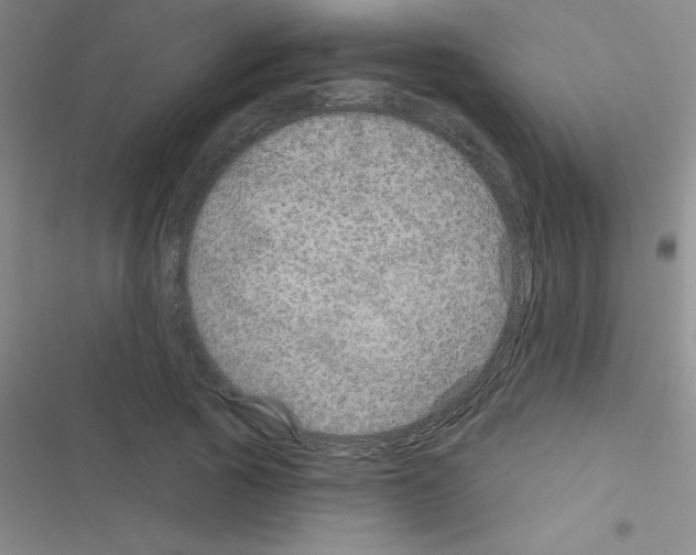 X0000116590737201001211325