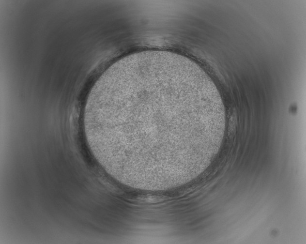 X0000116590739201001211325