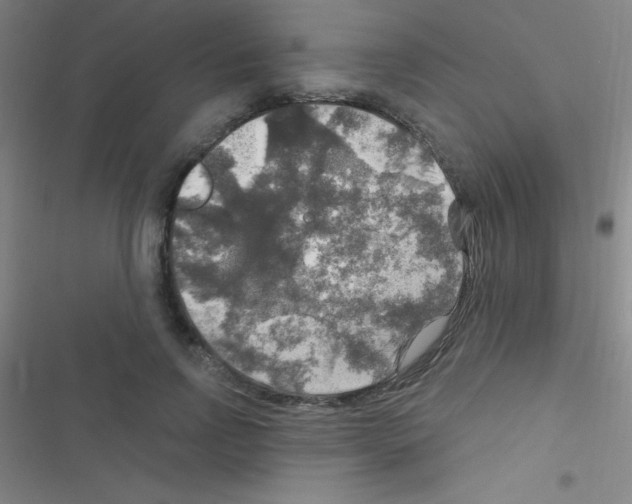 X0000116590742201001211325