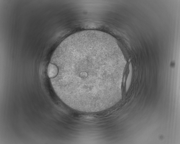 X0000116590743201001211325