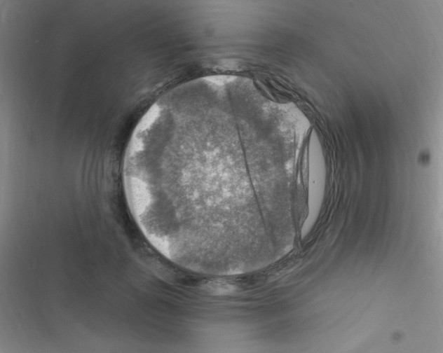 X0000116590747201001211326