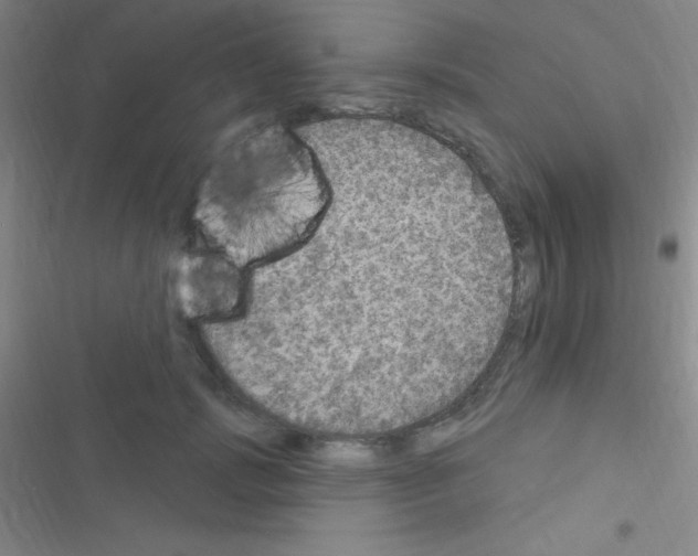 X0000116590749201001211326