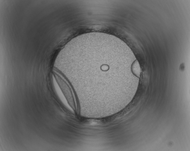 X0000116590750201001211326