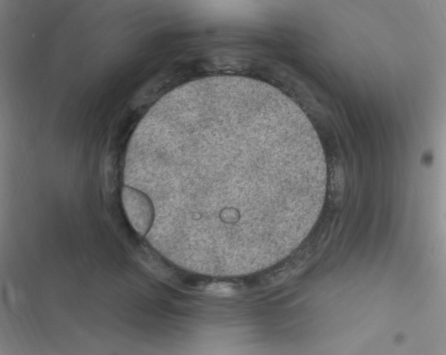 X0000116590751201001211326