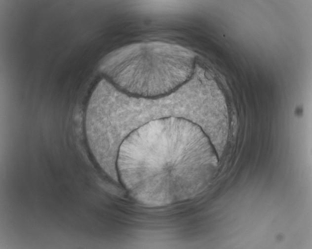 X0000116590753201001211326