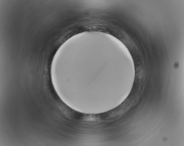 X0000116590754201001211326