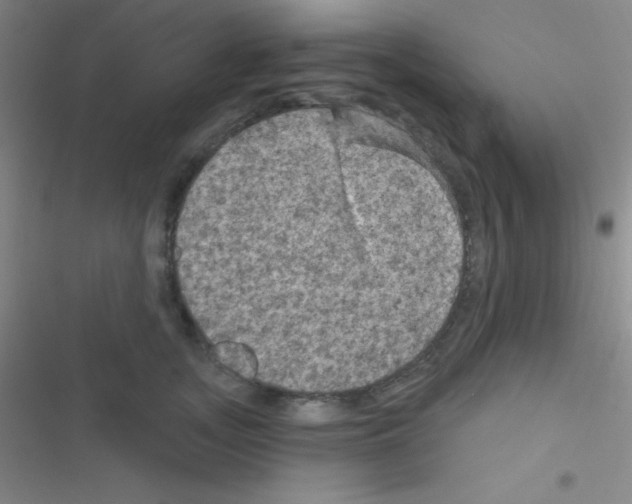 X0000116590755201001211326