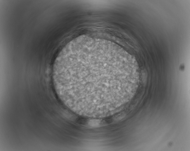 X0000116590757201001211326