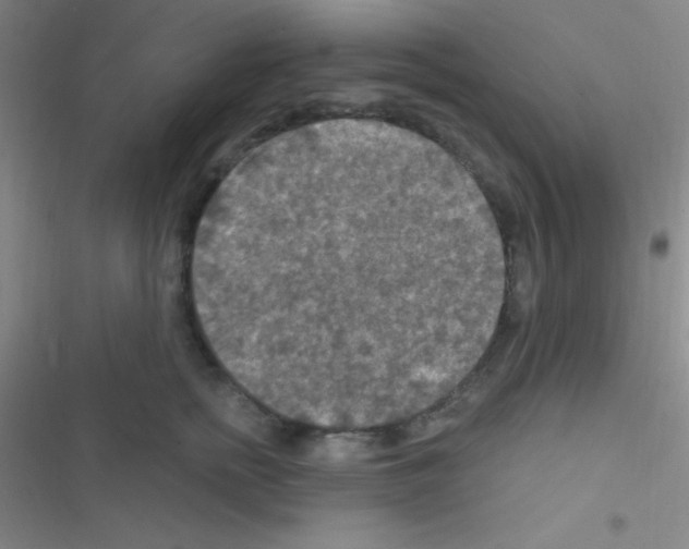 X0000116590758201001211326