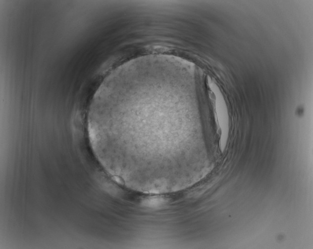 X0000116590759201001211326