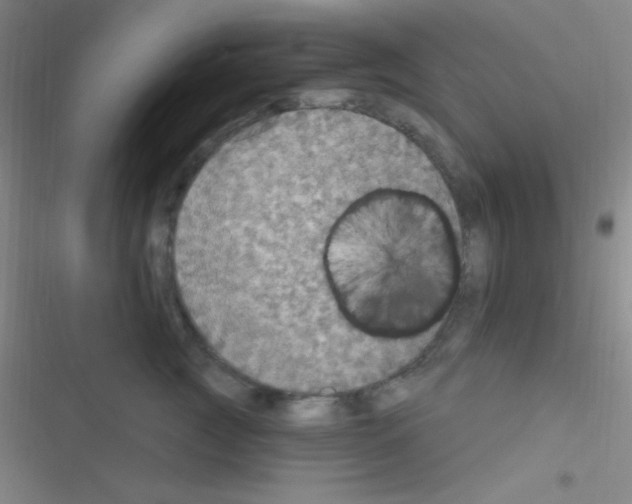 X0000116590761201001211326