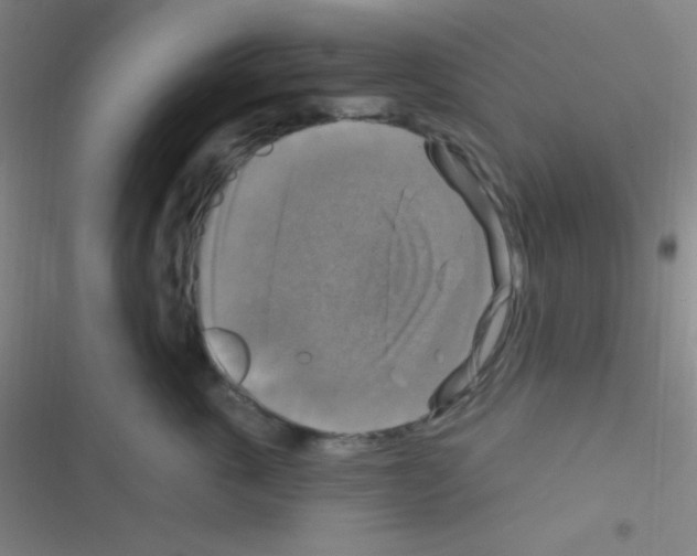 X0000116590763201001211326